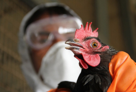 French bird flu outbreak spreads to new region